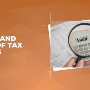 The Ins and Outs of Tax Audits