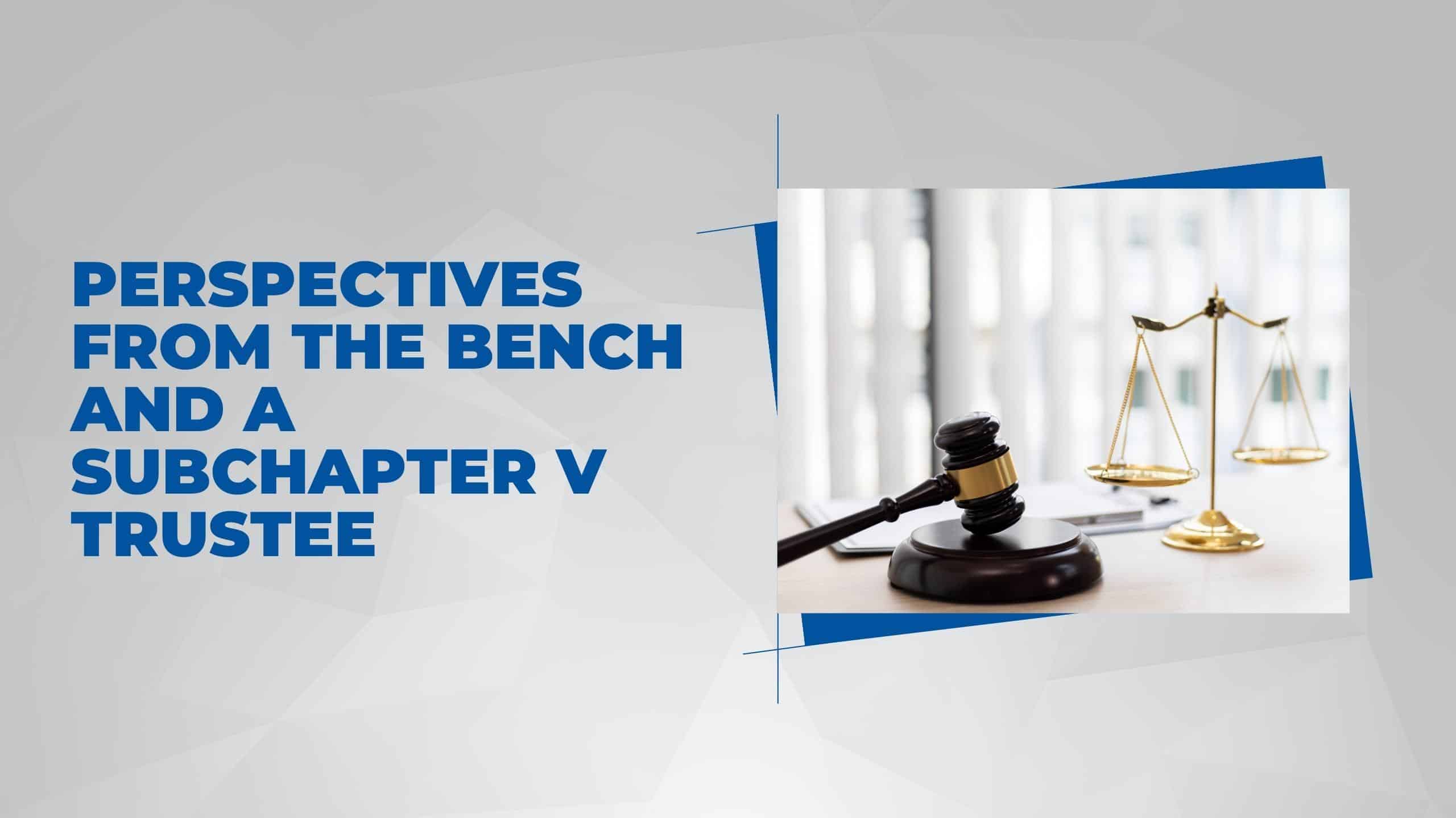 Perspectives from the Bench and a Subchapter V Trustee