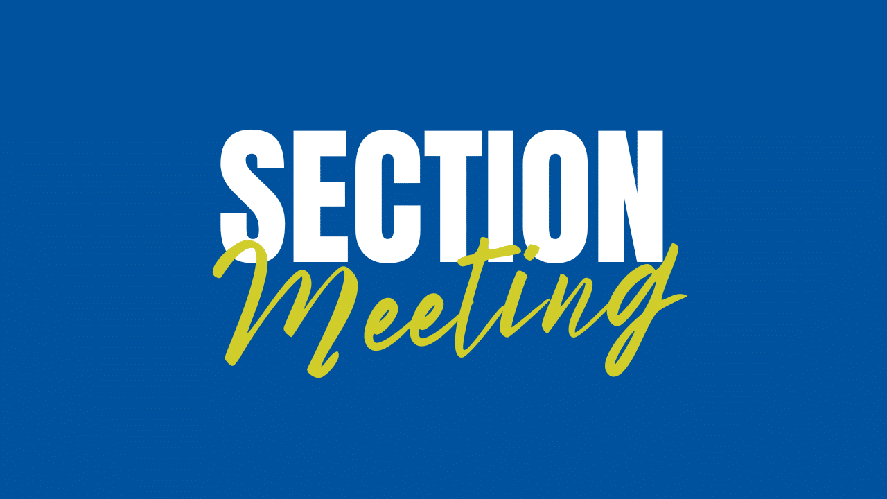 Inclusion Section Meeting