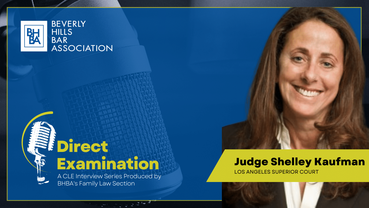 Judge Shelley Kaufman/Direct Examination