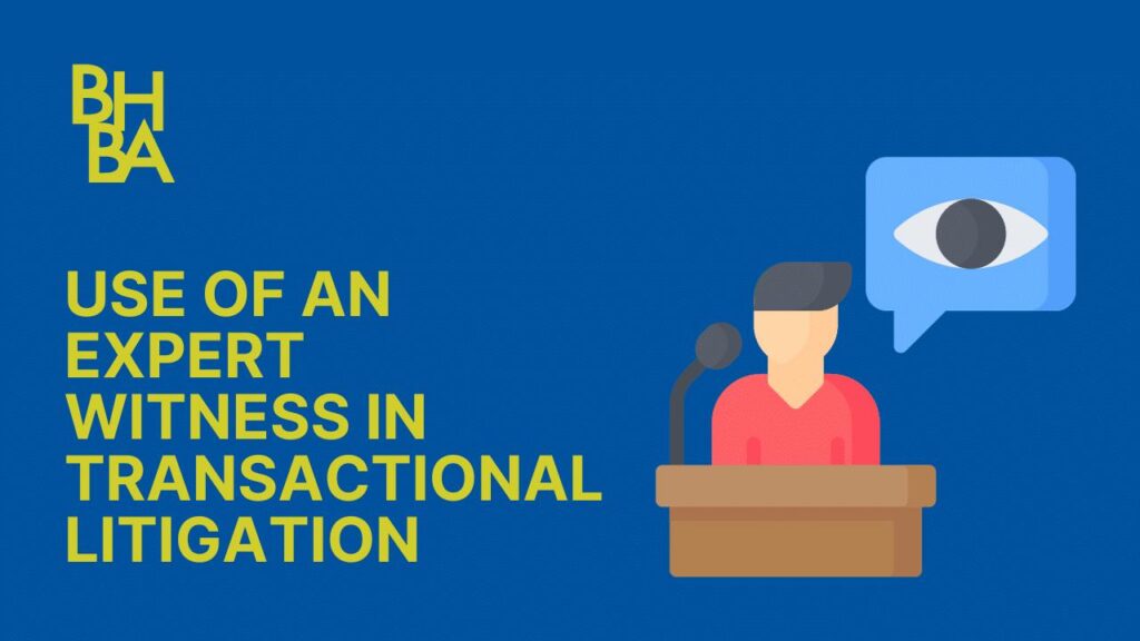 Use of an Expert Witness in Transactional Litigation