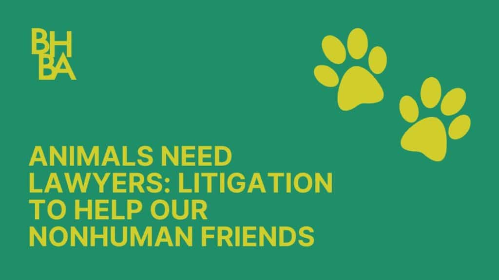 Animals Need Lawyers: Litigation to Help Our Nonhuman Friends