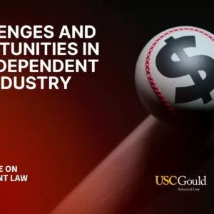 Challenges and Opportunities in the Independent Film Industry