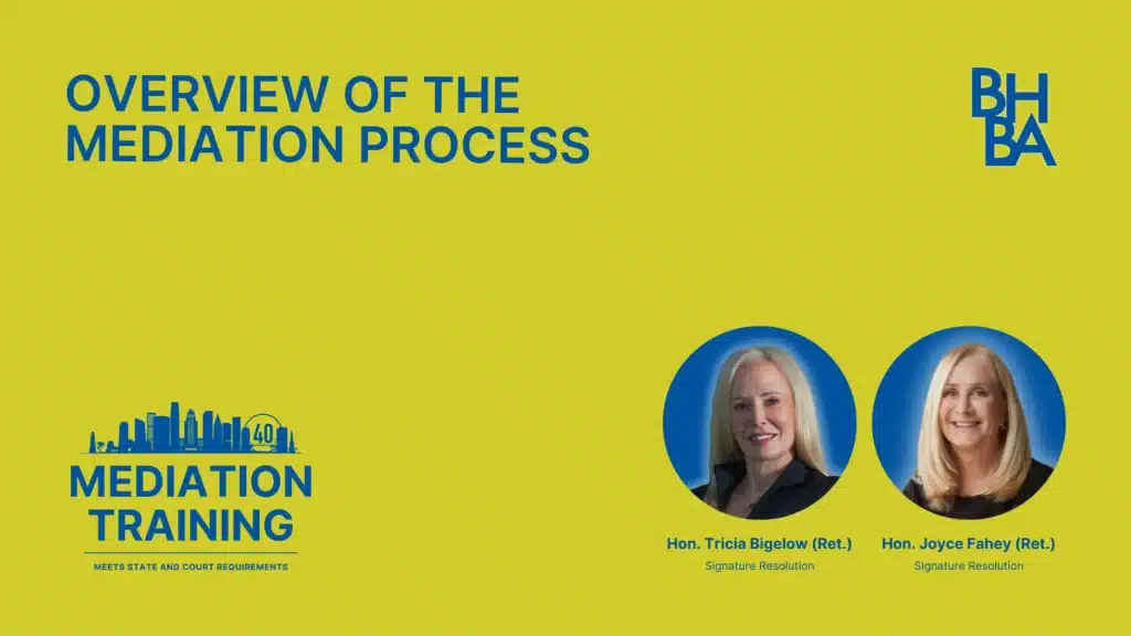 Overview of the Mediation Process