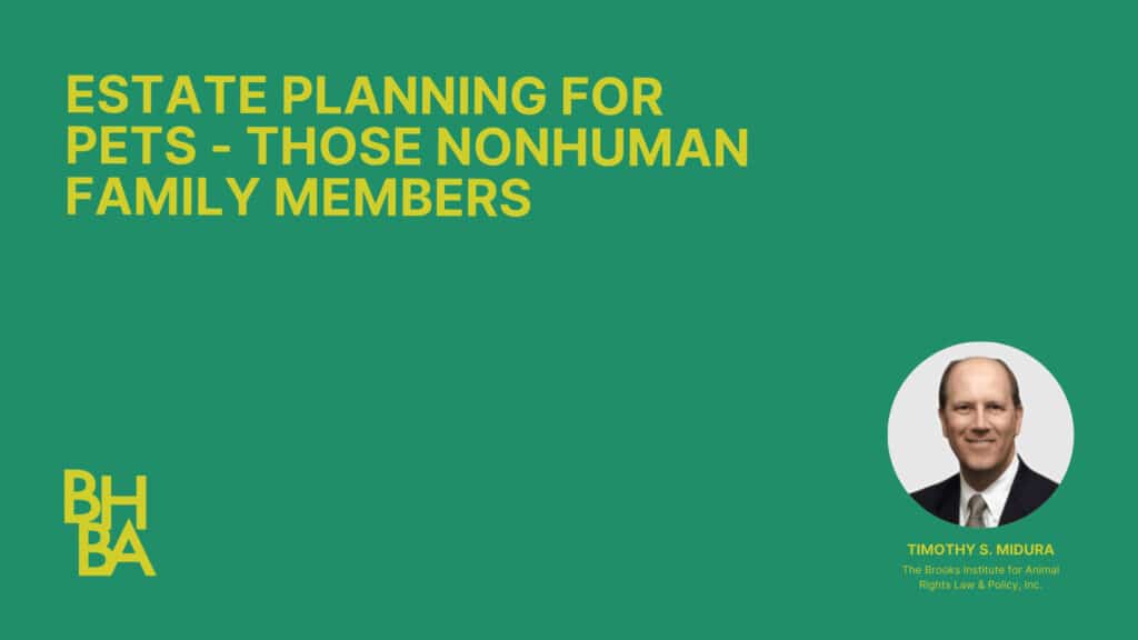 Estate Planning for Pets