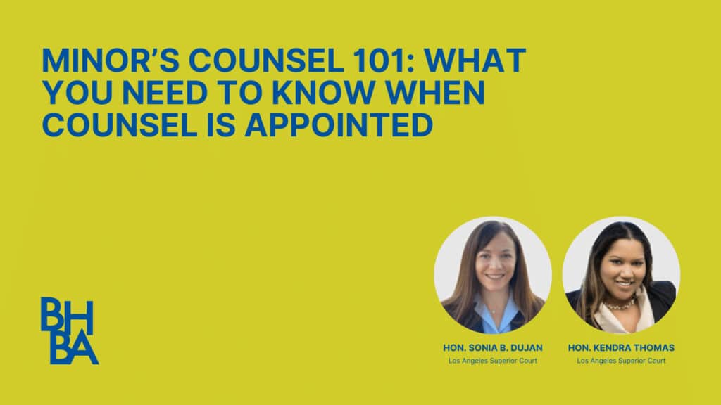 Minor’s Counsel 101: What You Need to Know When Counsel is Appointed