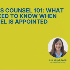 Minor’s Counsel 101: What You Need to Know When Counsel is Appointed