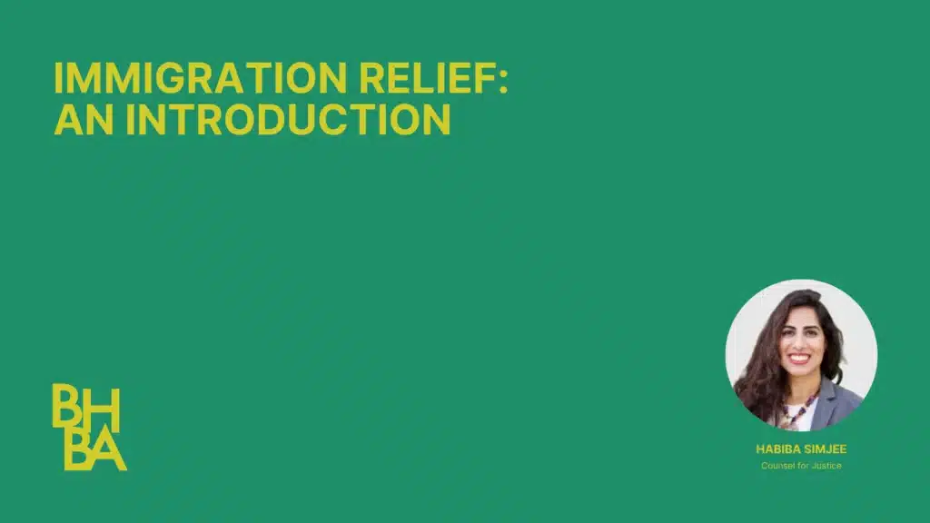 Immigration Relief: An Introduction