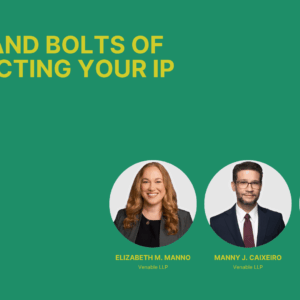 Nuts and Bolts of Protecting Your IP