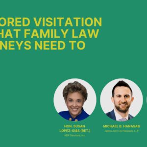 Child Custody Monitors: The When, The Who, and The What