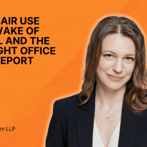 AI and Fair Use in the Wake of Warhol and the Copyright Office Draft Report