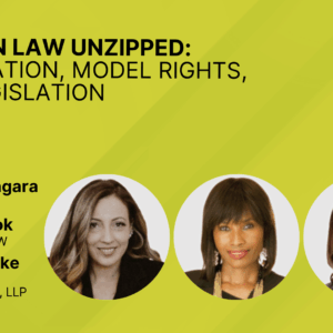 Fashion Law Unzipped: Immigration, Model Rights, and Legislation