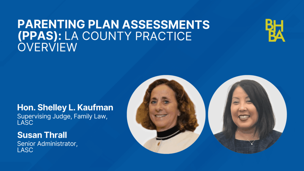 Parenting Plan Assessments (PPAs): LA County Practice Overview