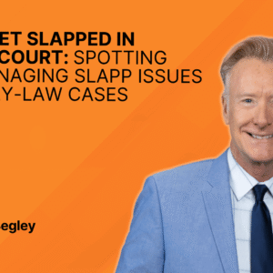 Don’t Get SLAPPed in Family Court: Spotting and Managing SLAPP Issues in Family-