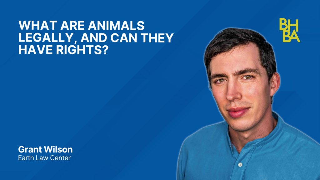 What Are Animals Legally, and Can They Have Rights?