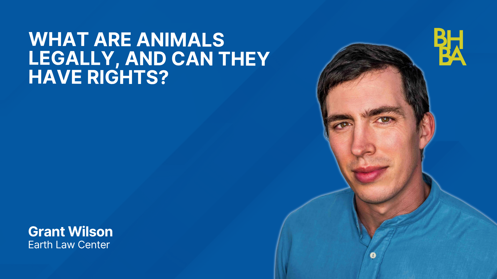 What Are Animals Legally, and Can They Have Rights?