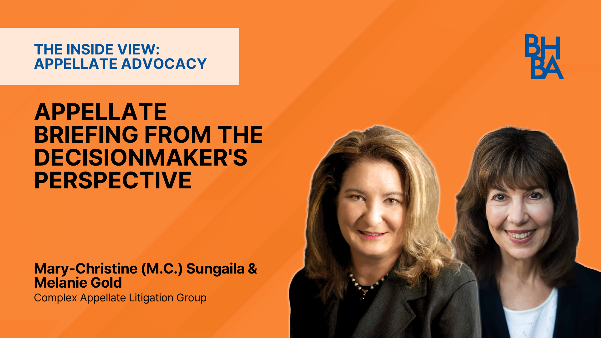 Part One: Appellate Briefing from the Decisionmaker's Perspective
