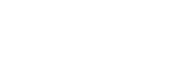 The Sanborn Team
